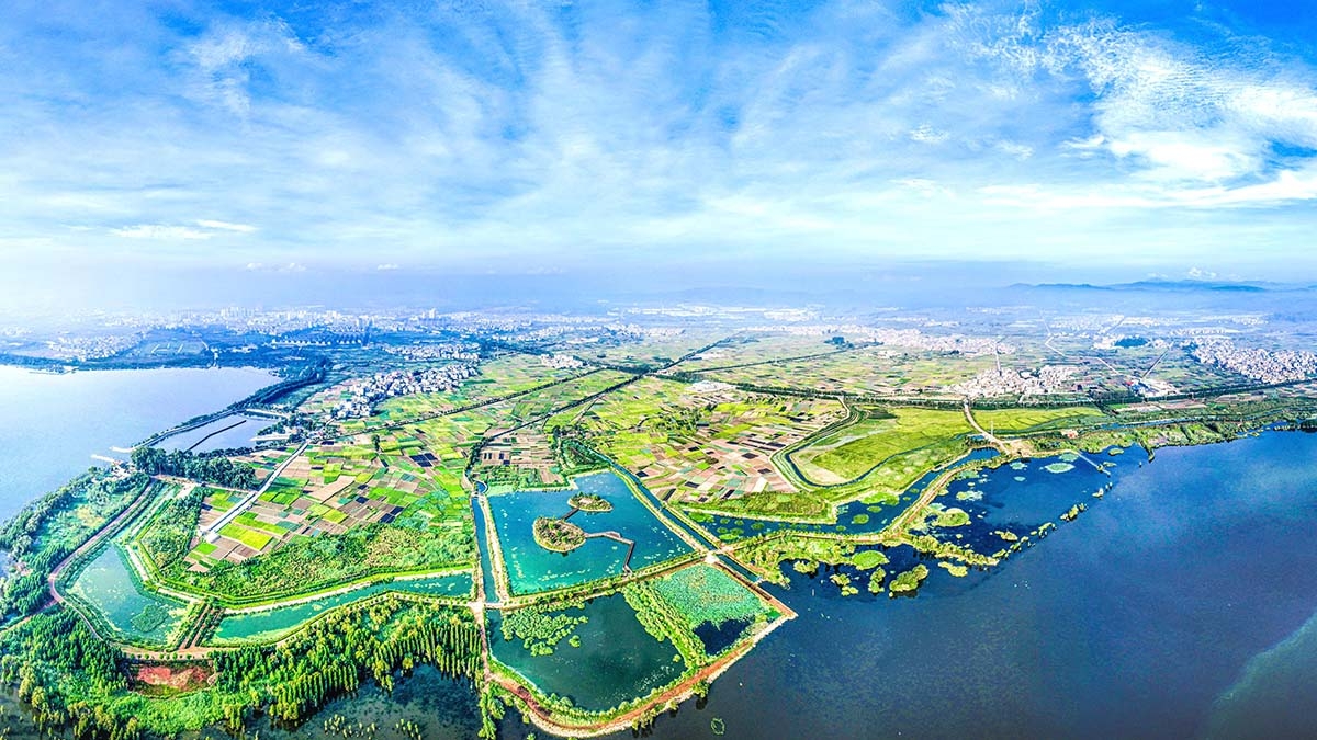 星云湖南岸濕地、湖濱帶提質(zhì)改造工程