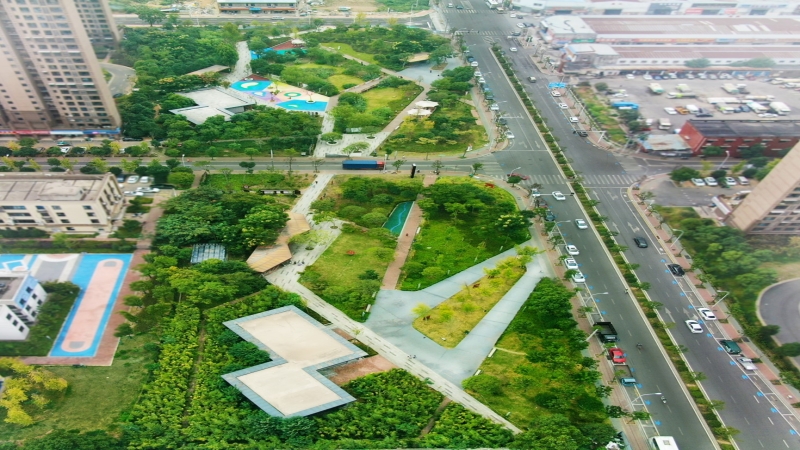 隆平新區龜山公園杉木路綠帶景觀(guān)項目